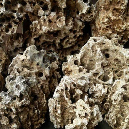 AQA Holey Rocks – Best4Pets