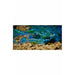 Electric Blue Shrimp (Neocaridina davidi - 1/2 to 1 inch Long)
