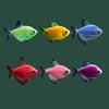 Glo Widow Tetra (Mix Colours)
