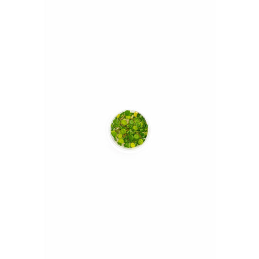 Hydrocotyle verticillata TC
