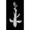 Load image into Gallery viewer, Platinum Ogon / Milky White Koi Carp (Non Veil Tail) 4-5inch