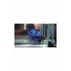 Import Crowntail Betta