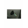 Metal Black Guppy (Pairs)