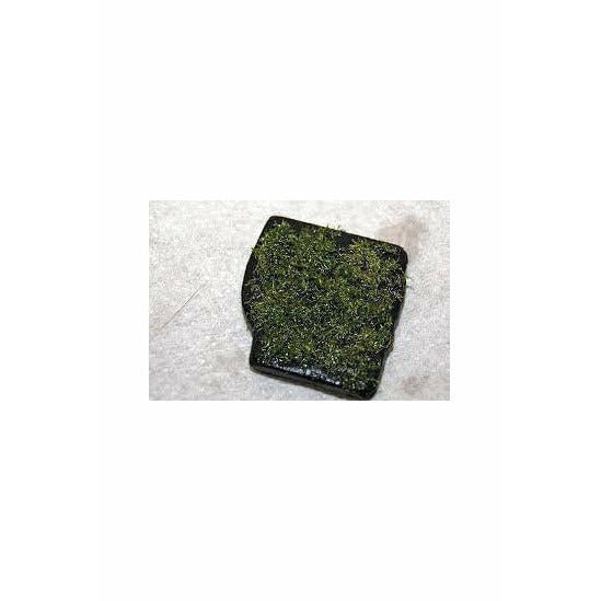 Riccia Stone (10pc)