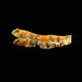 Schismatogobius risdawatiae scaleless stream goby resting on gravel with banded pectoral fins spread