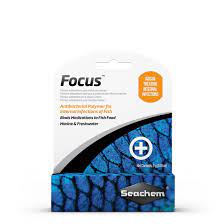 Focus (5g)